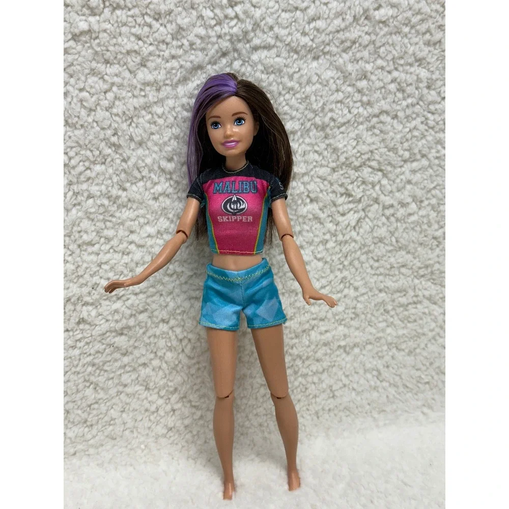 Modern Barbie Skipper Doll Malibu Surf  Purple Hair Articulated Toy